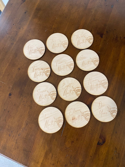 Highland Cow Birth Milestones Wooden Markers. Monthly Baby Photos. Circle Birth Months.