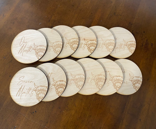 Highland Cow Birth Milestones Wooden Markers. Monthly Baby Photos. Circle Birth Months.