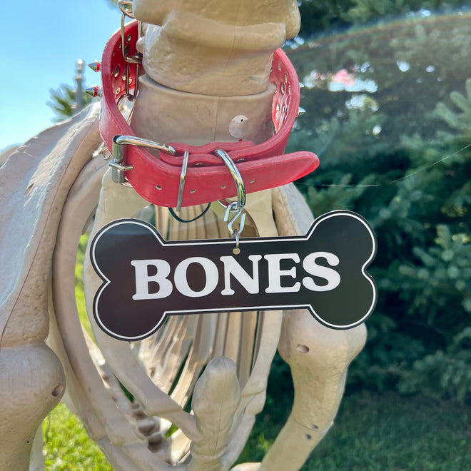 Skeleton Dog Accessory. 7 Foot Skelly Dog Tag. Outdoor Large Plastic Dog Bone Tag. Halloween Decor. Personalized Plastic Dog Tag.