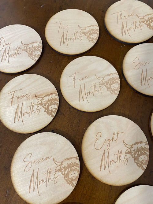 Highland Cow Birth Milestones Wooden Markers. Monthly Baby Photos. Circle Birth Months.