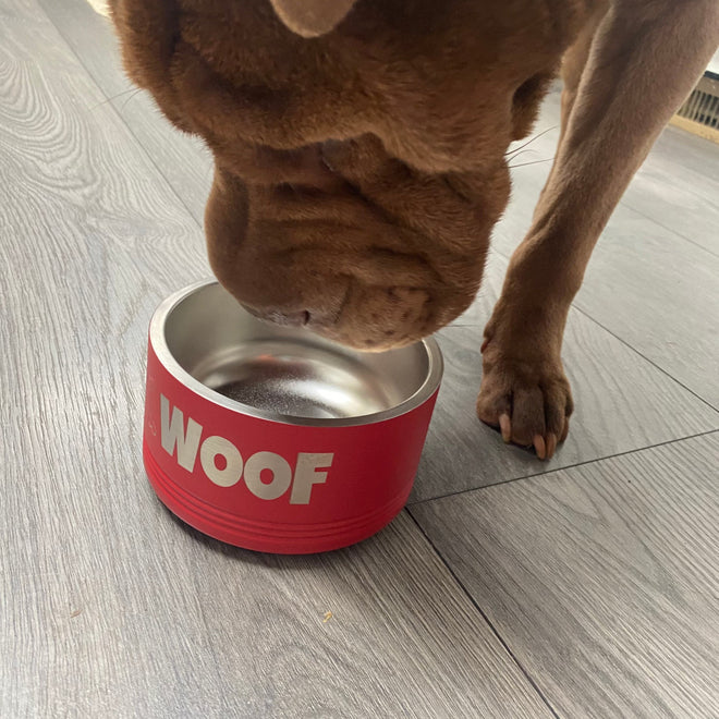 Woof Dog Bowl. Stainless Steel Engraved Dog Dish. Insulated Pet Food Bowl. - C & A Engraving and Gifts