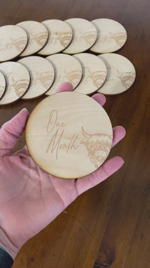 Highland Cow Birth Milestones Wooden Markers. Monthly Baby Photos. Circle Birth Months.
