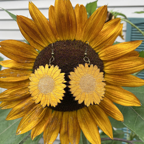 Sunflower Earrings. Stained Birch Wooden Sunflower Dangle Earrings. - C & A Engraving and Gifts